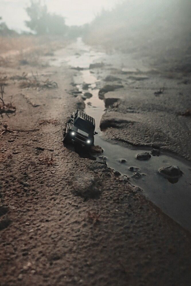 Фотография автора Татьяна Максакова