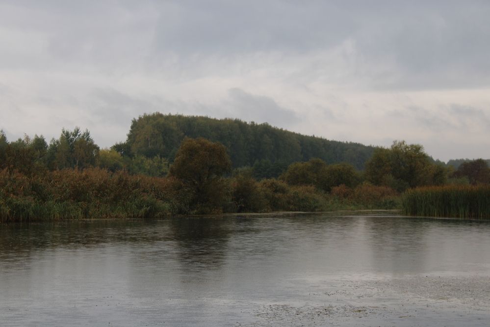 Photograph by Елена Коробченко