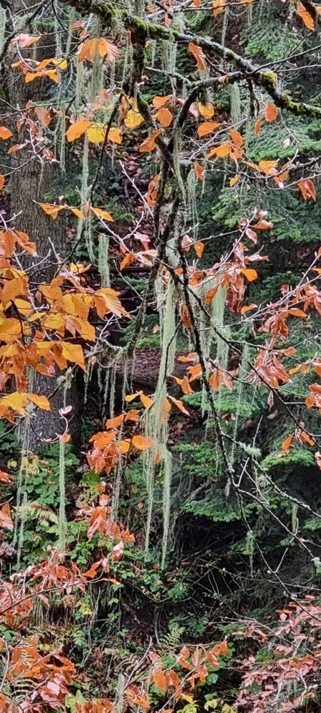 Photograph by Elena Ovsannikova