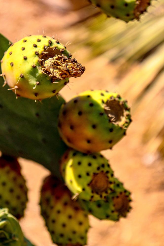 Photograph by Анастасия Мерчик