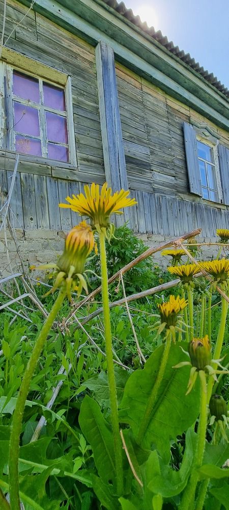 Photograph by Elena Ovsannikova