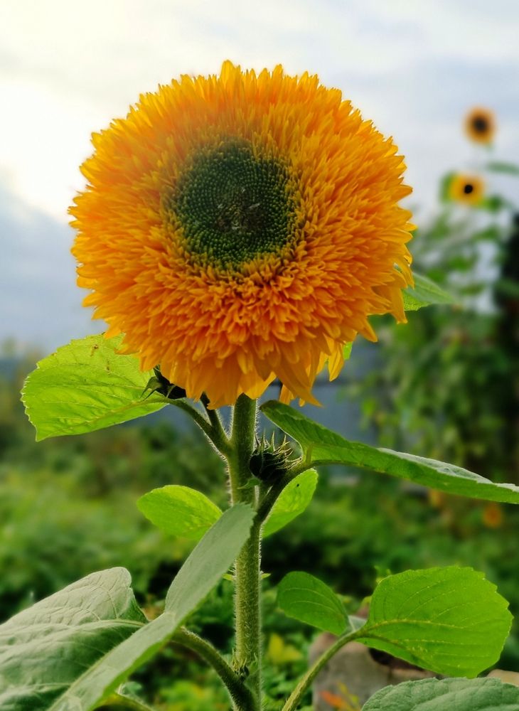 Photograph by Olga Kot