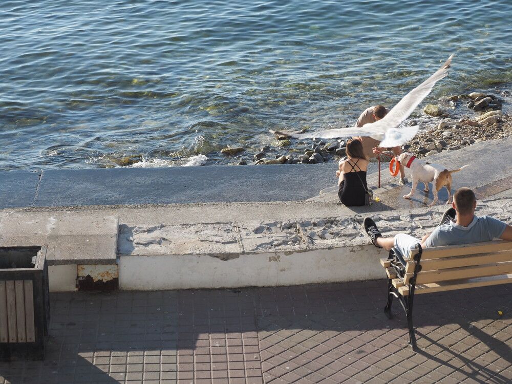 Photograph by Сергей Борисов