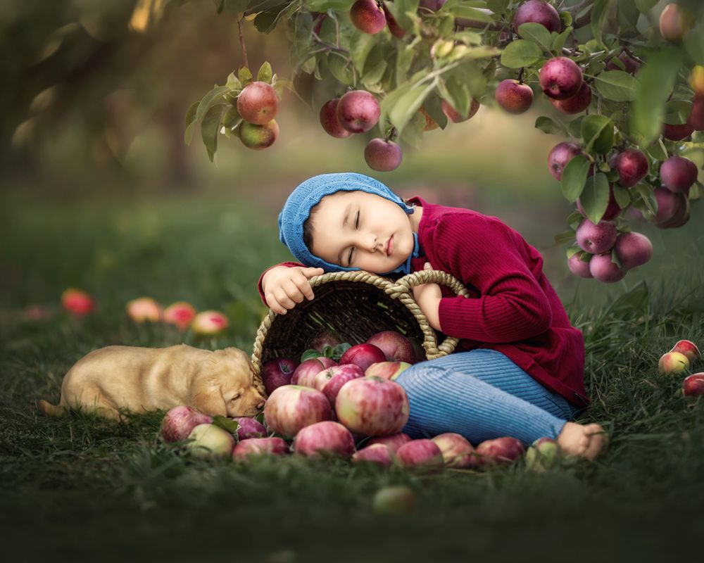 Photograph by Meilleurs Moments