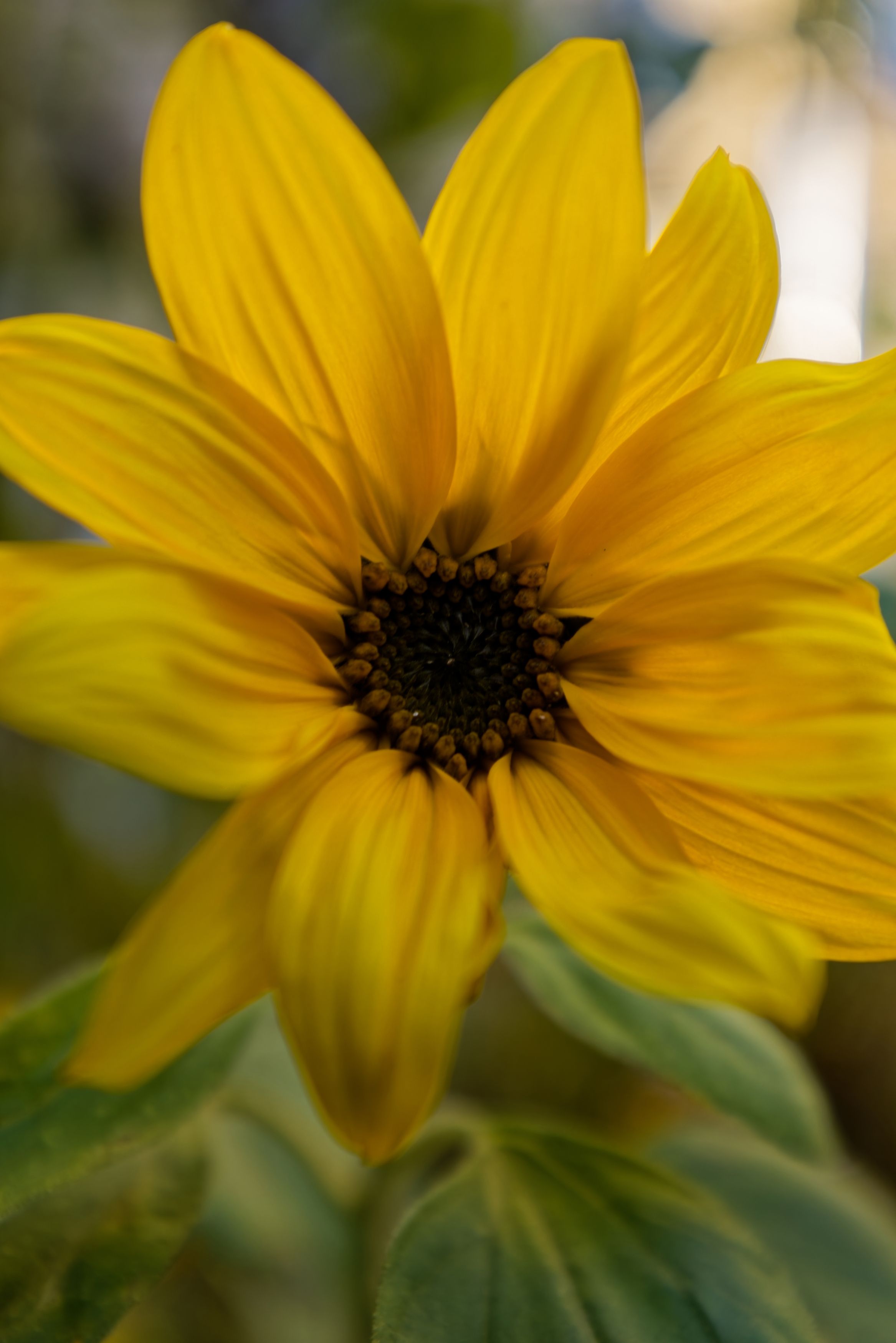 Photograph by Александр Селезнев