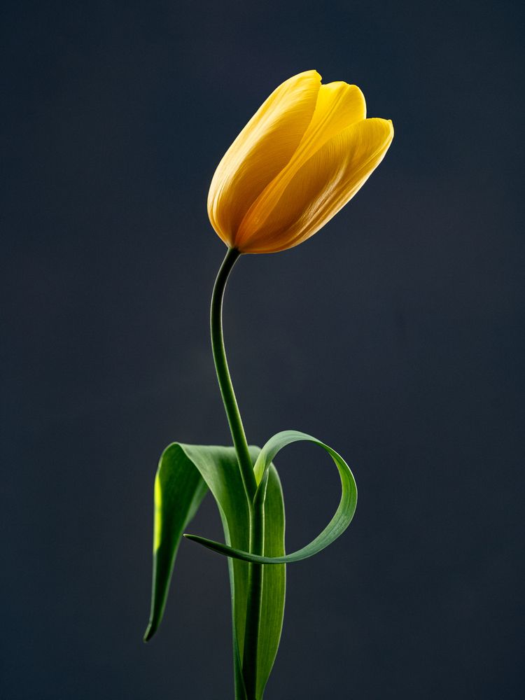 Photograph by БОРИС БЕЛКАНИЯ