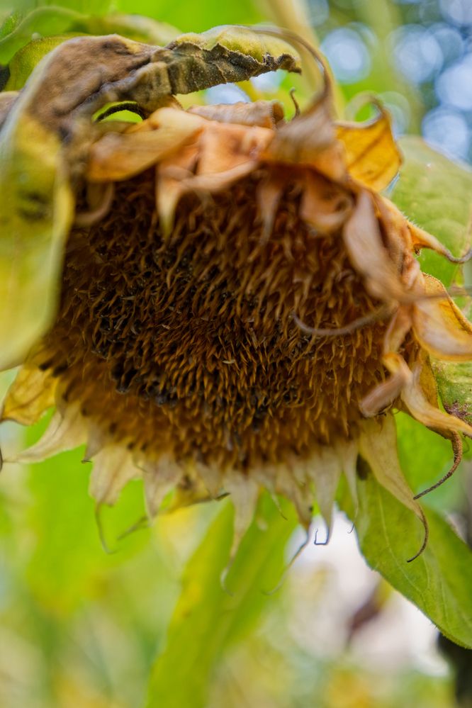 Photograph by Александр Селезнев