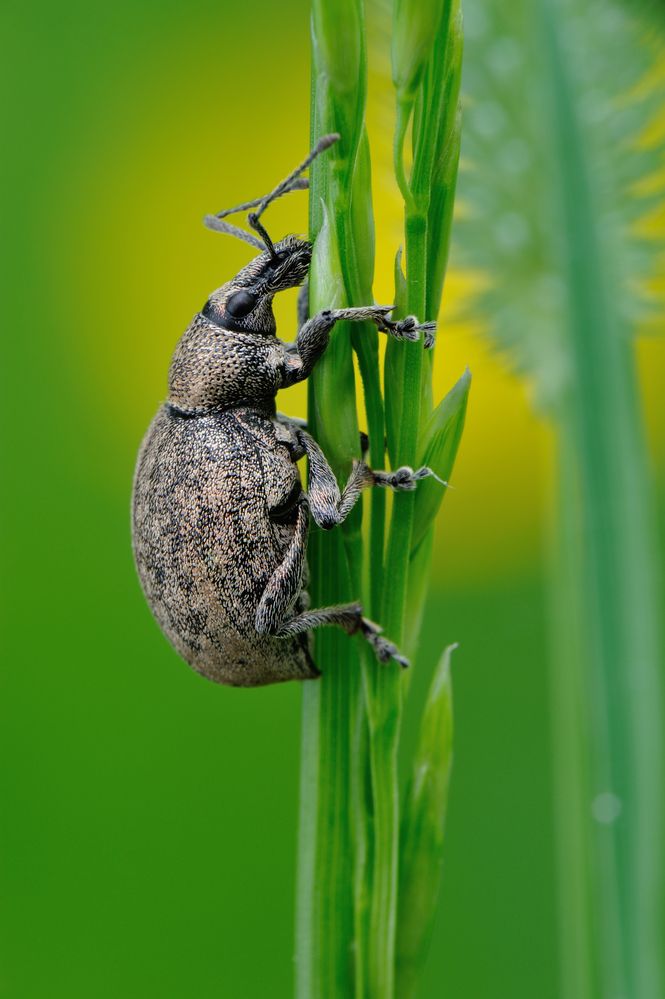 Фотография автора Чистяков Андрей