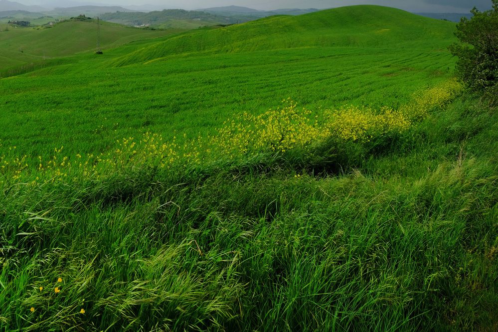 Photograph by Александр Журавлев