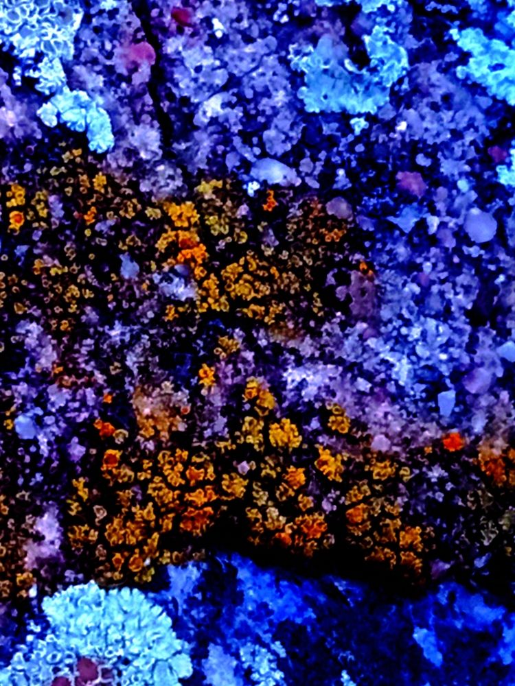 Фотография автора Jindřiška Kučerová