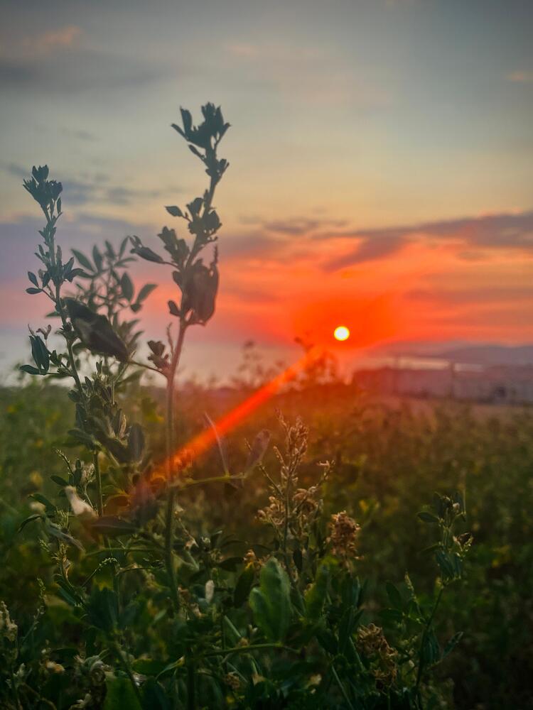 Photograph by Олеся Старицкая