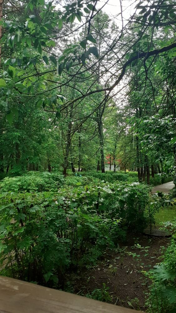 Photograph by Елена Лещева