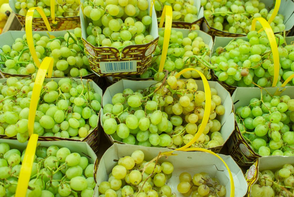 Photograph by Александр Журавлев