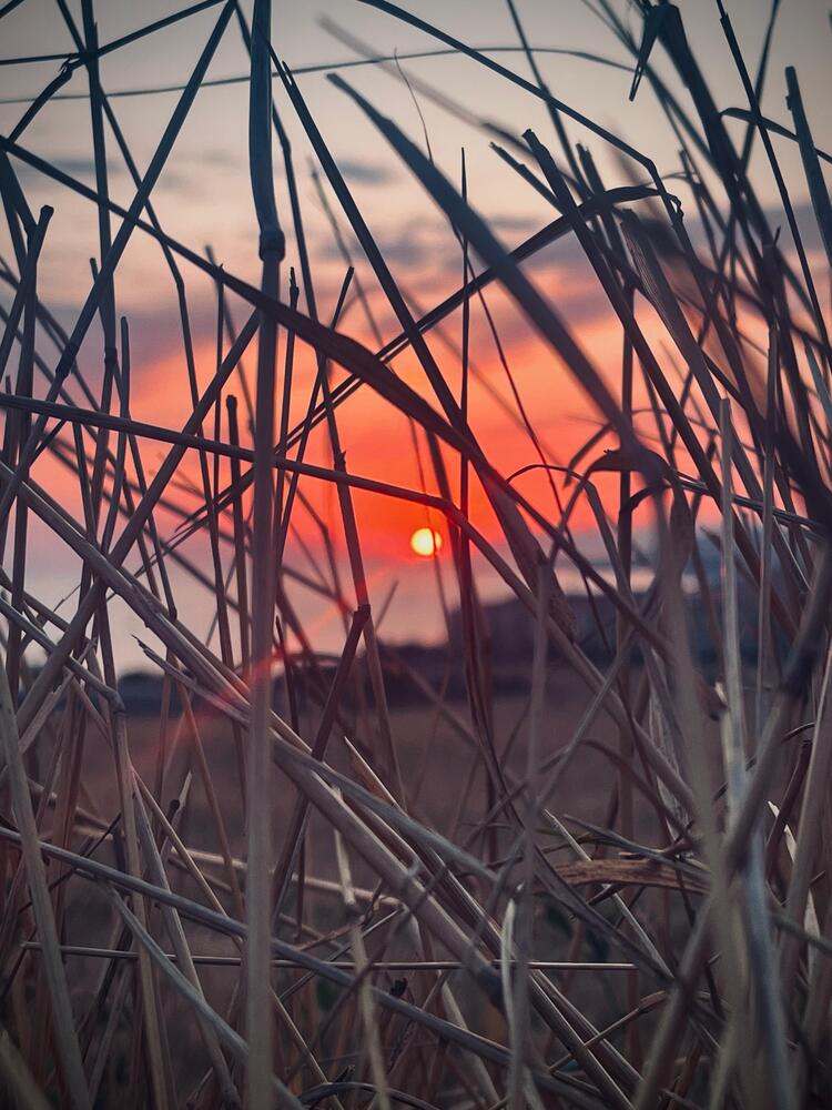 Photograph by Олеся Старицкая