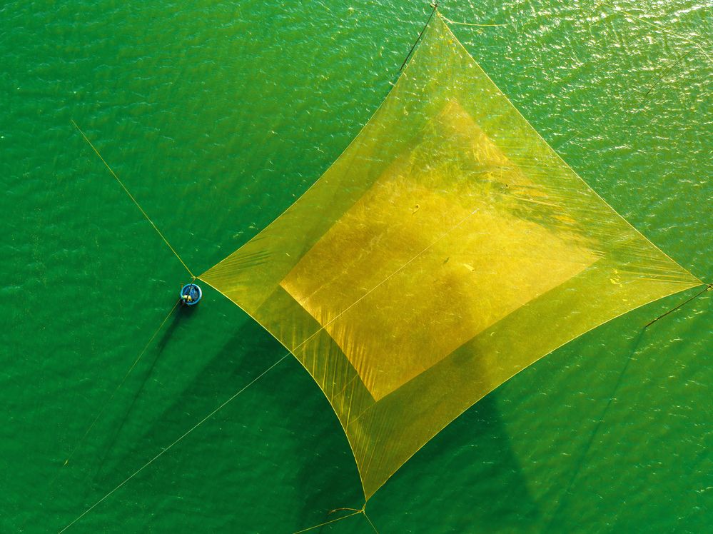 Photograph by Tran Phuong