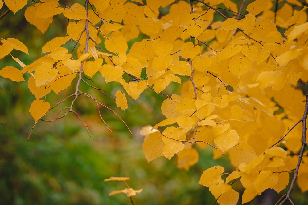 Photograph by Христина Сергейчик