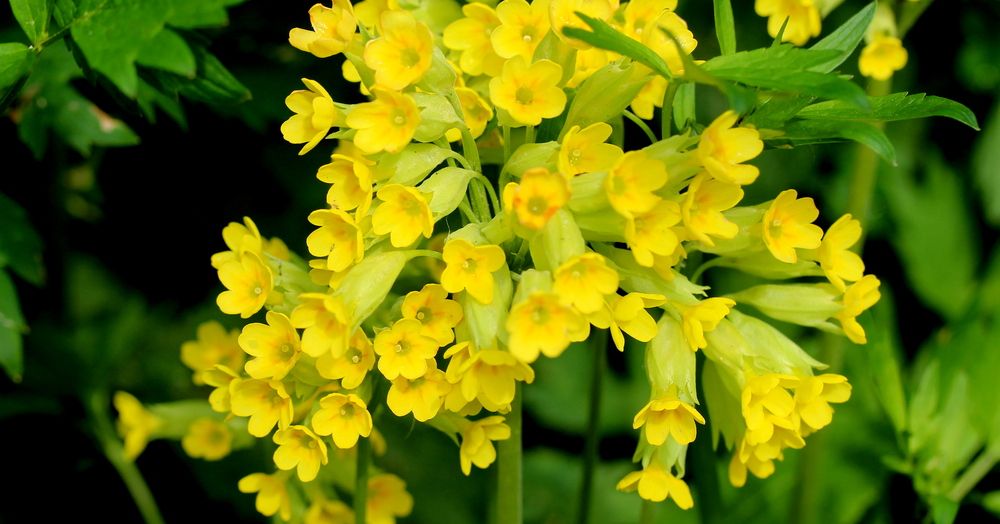 Photograph by Жанна Нечаева