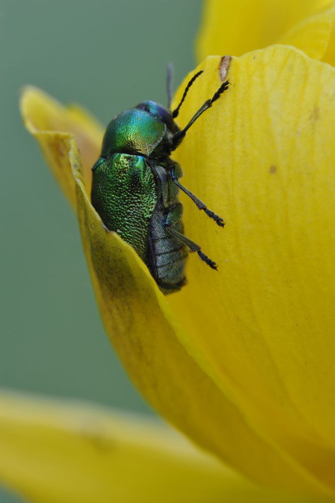 Фотография автора Чистяков Андрей