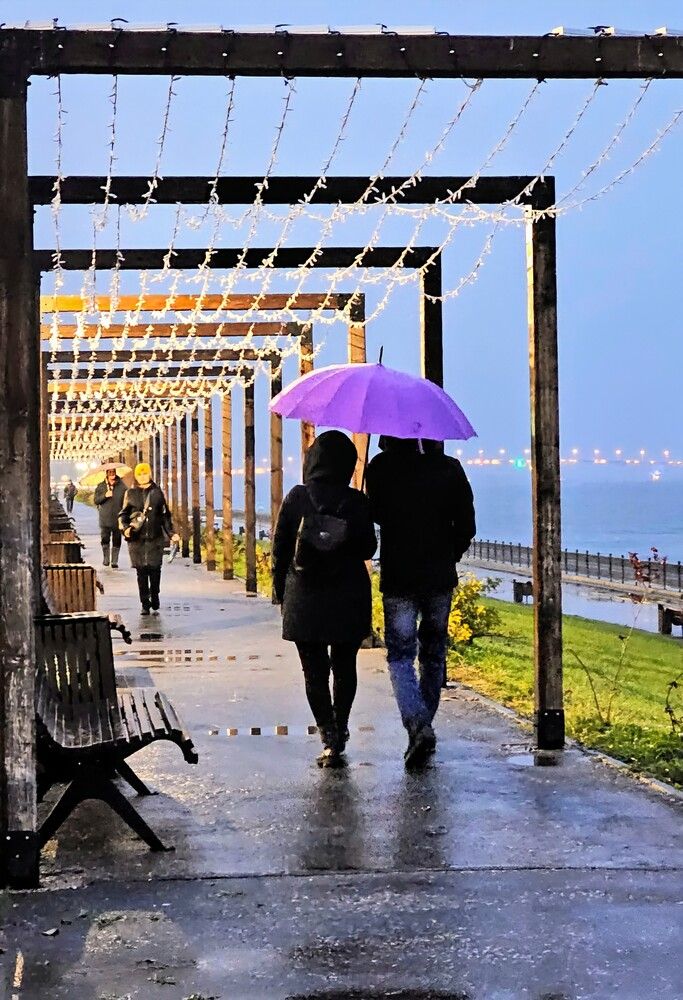 Photograph by Людмила Локтионова