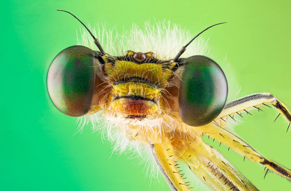 Photograph by Hocine Ferhat