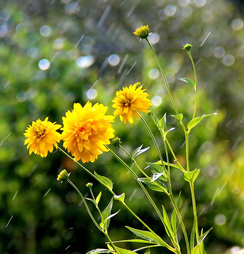 Photograph by Жанна Нечаева