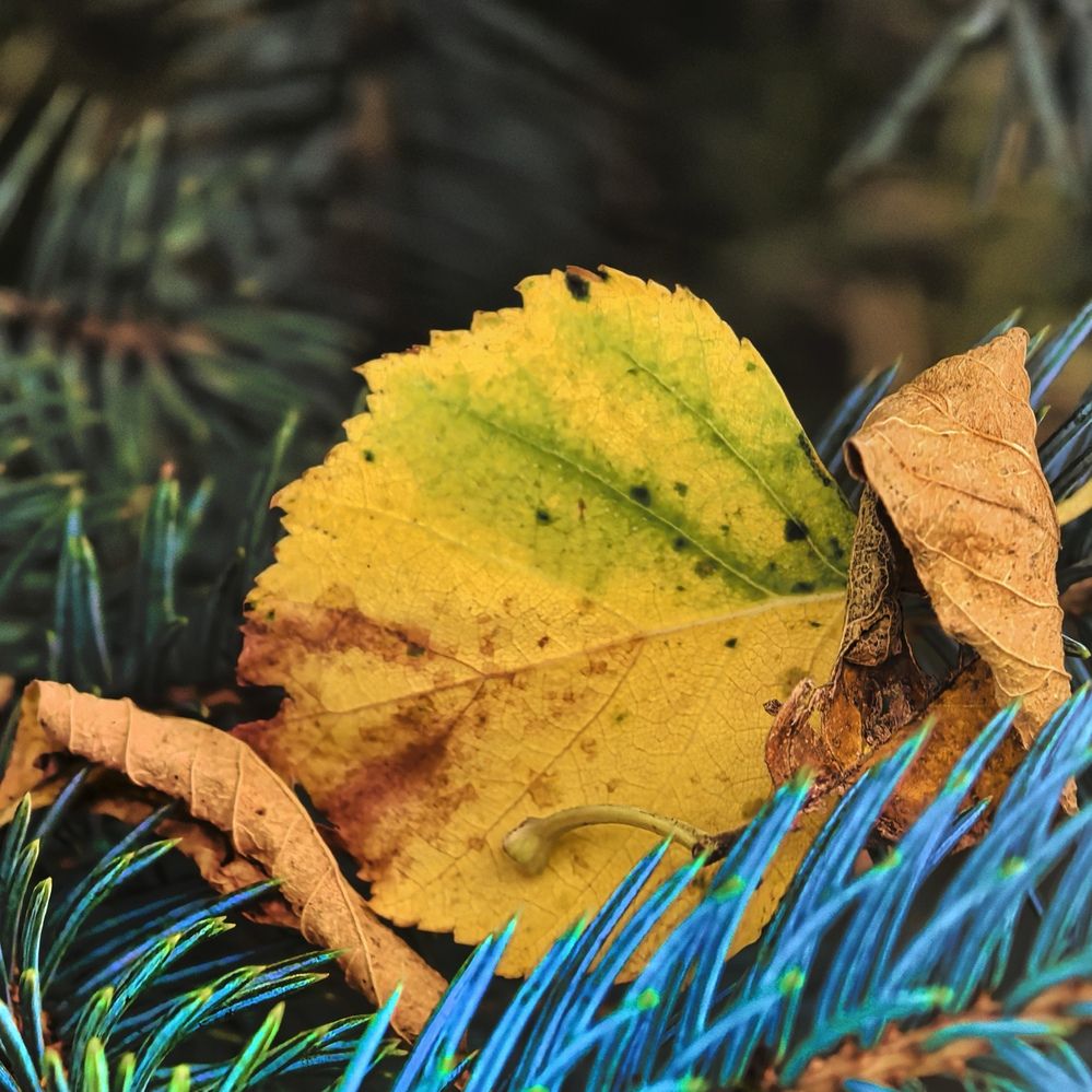 Photograph by Юрий Полушин