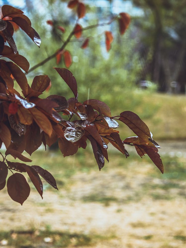 Photograph by Христина Сергейчик