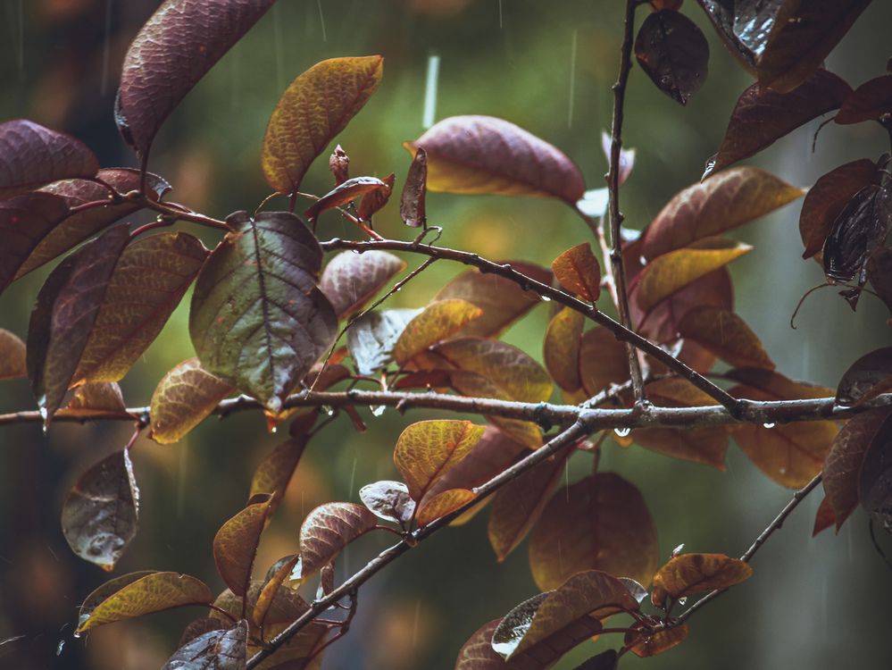 Photograph by Христина Сергейчик