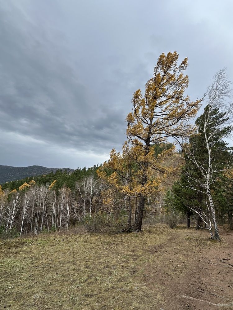 Photograph by Светлана Ионова