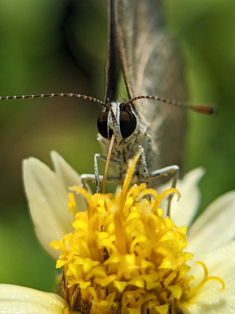 Photograph by Ameen Ahmed L