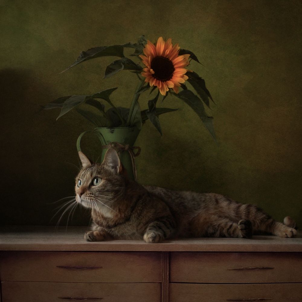 Photograph by Кира Иванова