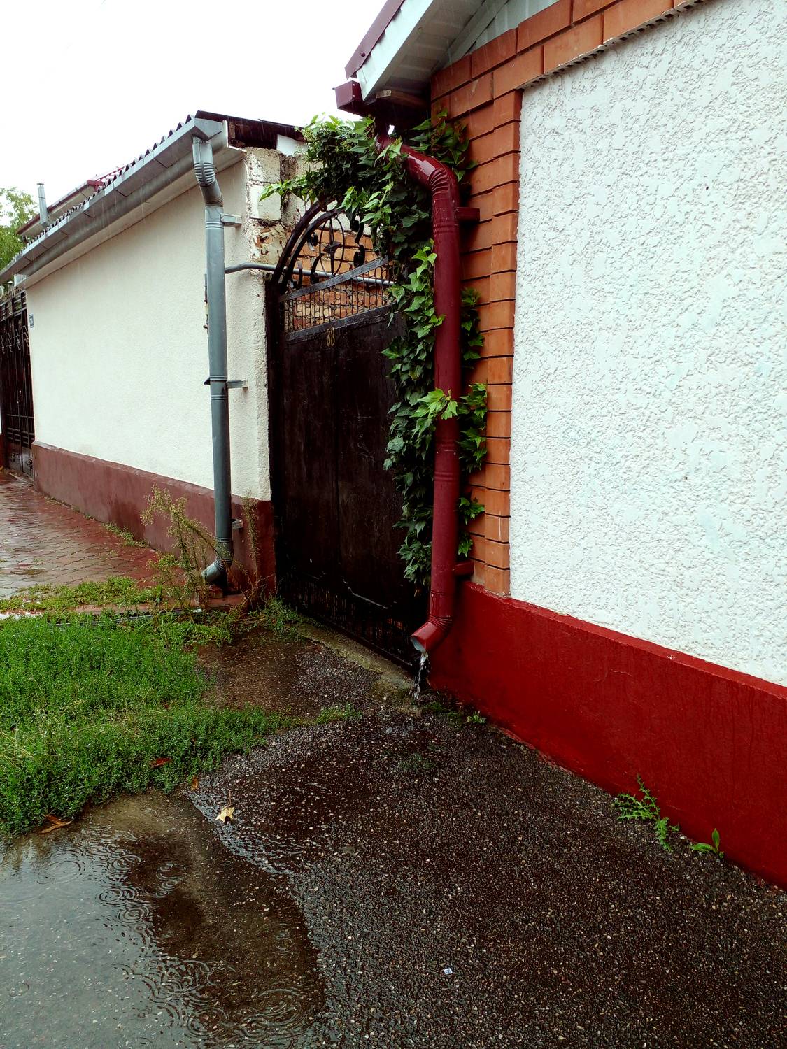 Photo #12618784