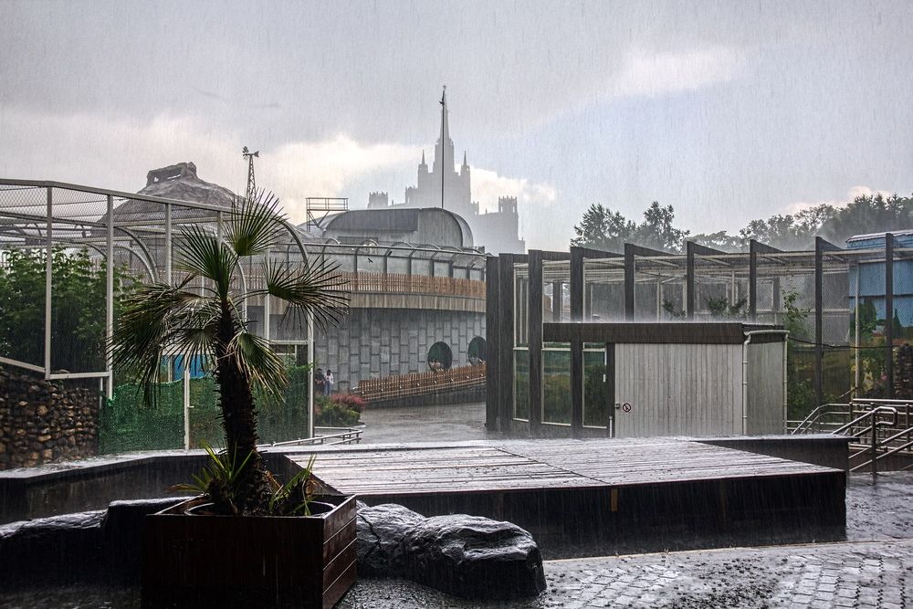 Photograph by Андрей Хитров