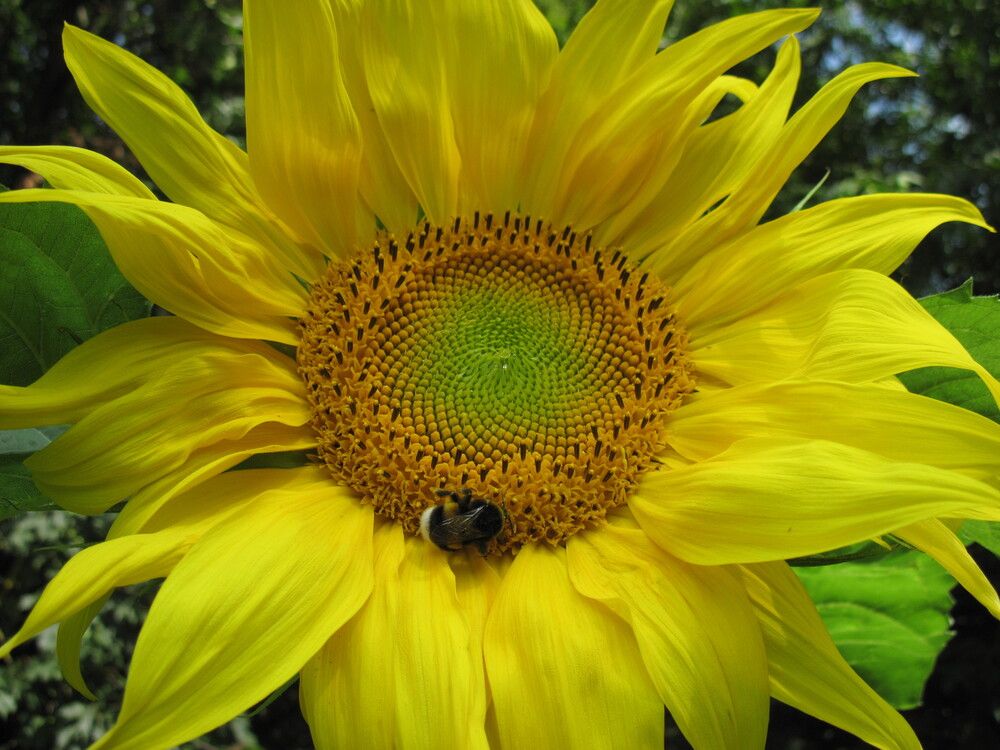 Фотография автора Георгий Самусевич
