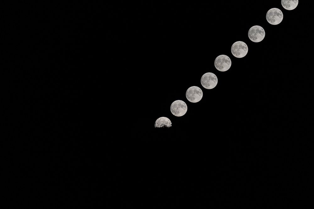 Фотография автора Fallen Angel