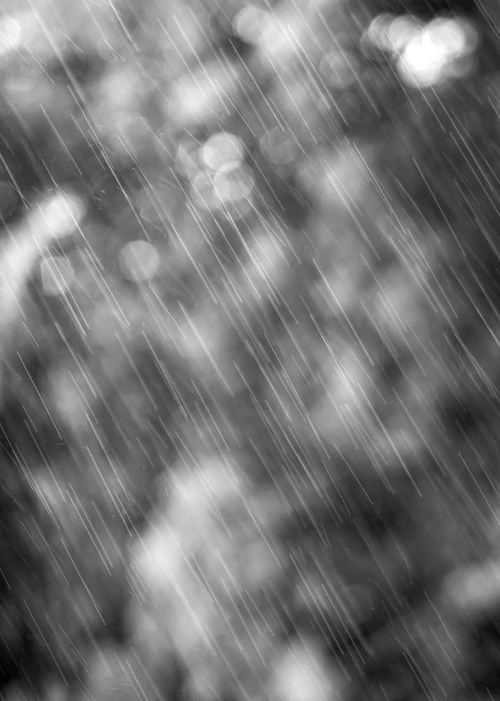 Photograph by Владимир Охрименко