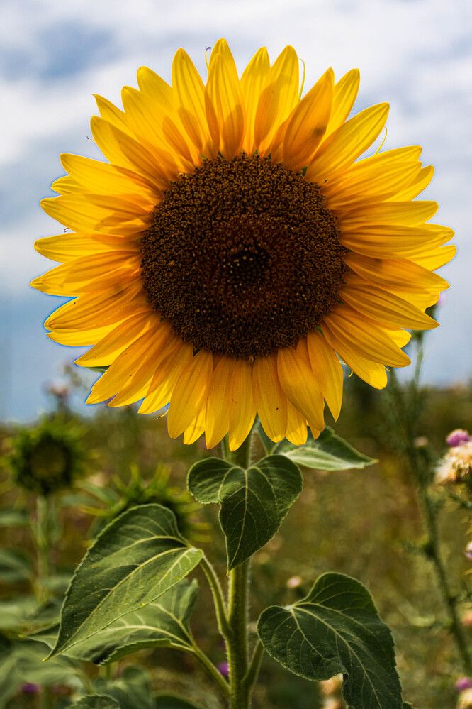 Photograph by Людмила Баймухаметова