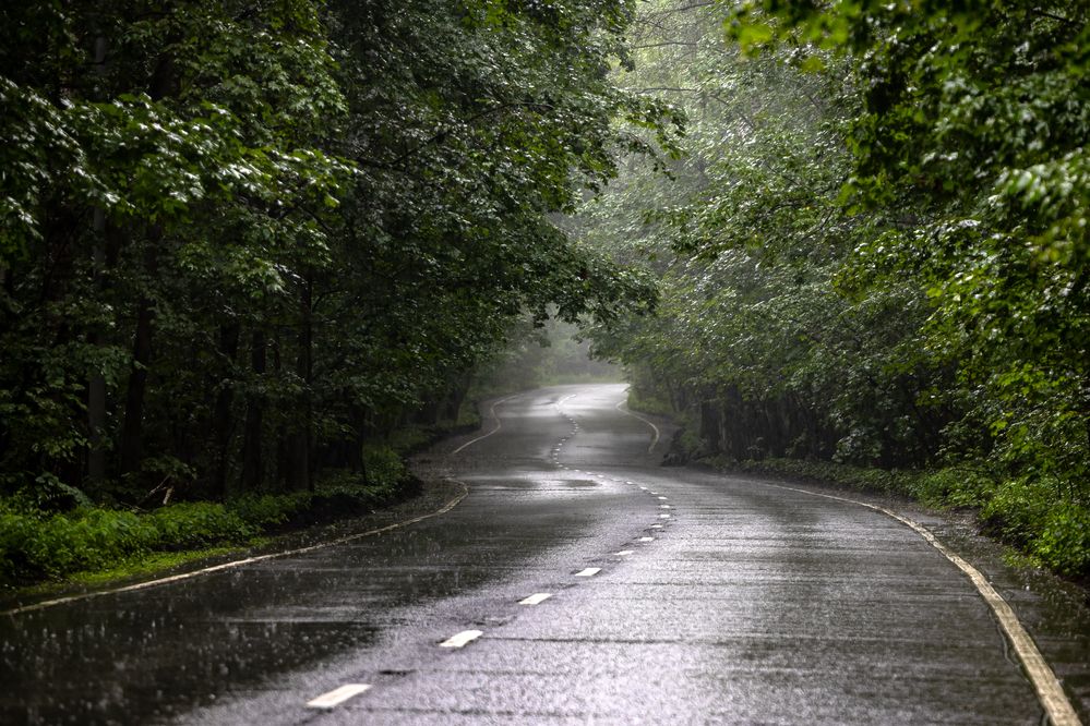 Photograph by Владимир Охрименко