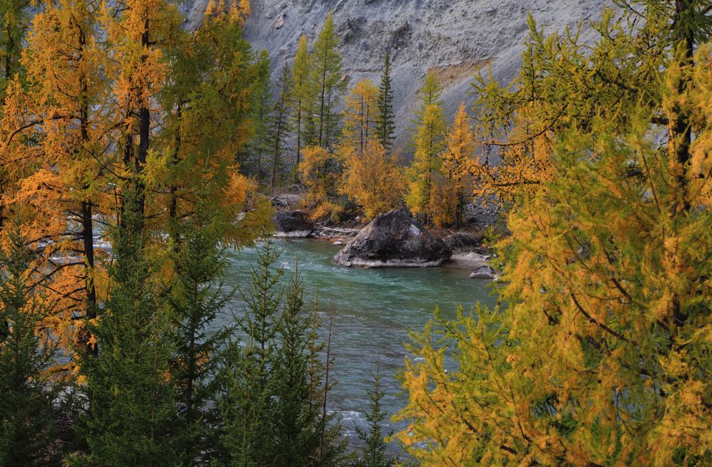 Photograph by Евгений Зинов