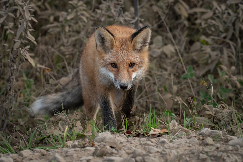 Photograph by Альварис Сукманюк