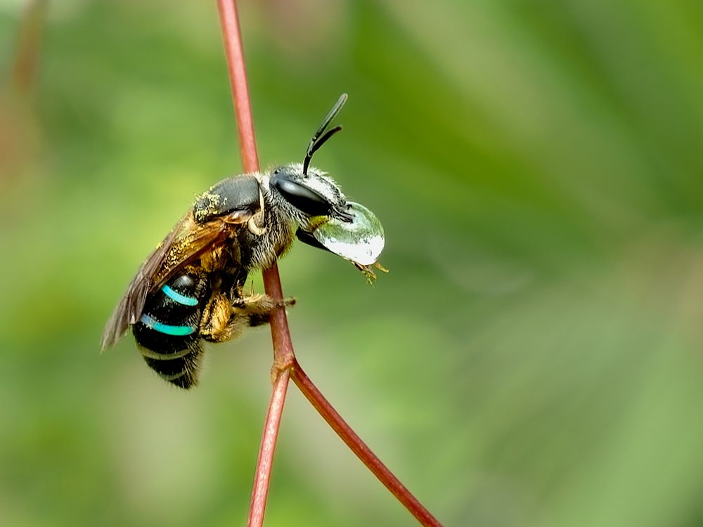 Photograph by Mahmud Hasan
