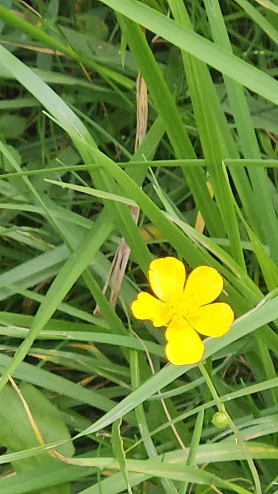 Photograph by Зина Хаимова