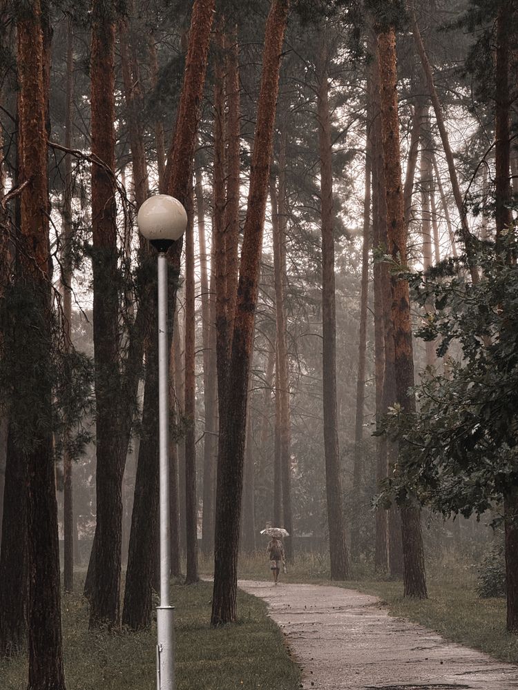 Фотография автора Анастасия Терехова