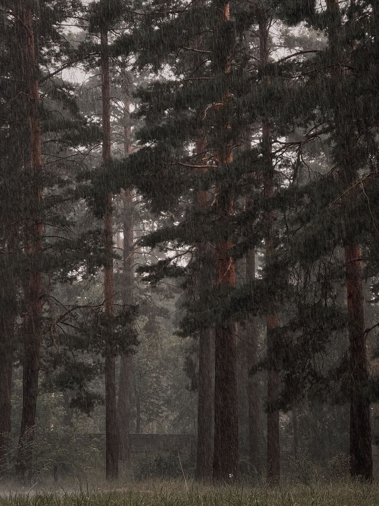 Фотография автора Анастасия Терехова