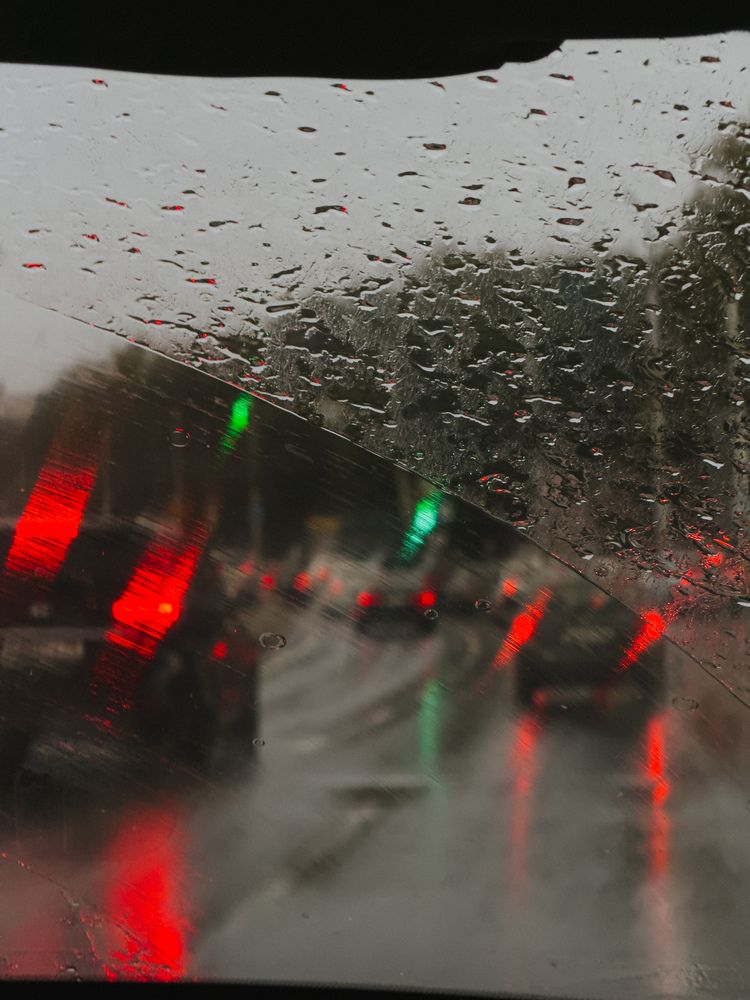 Фотография автора Анастасия Терехова