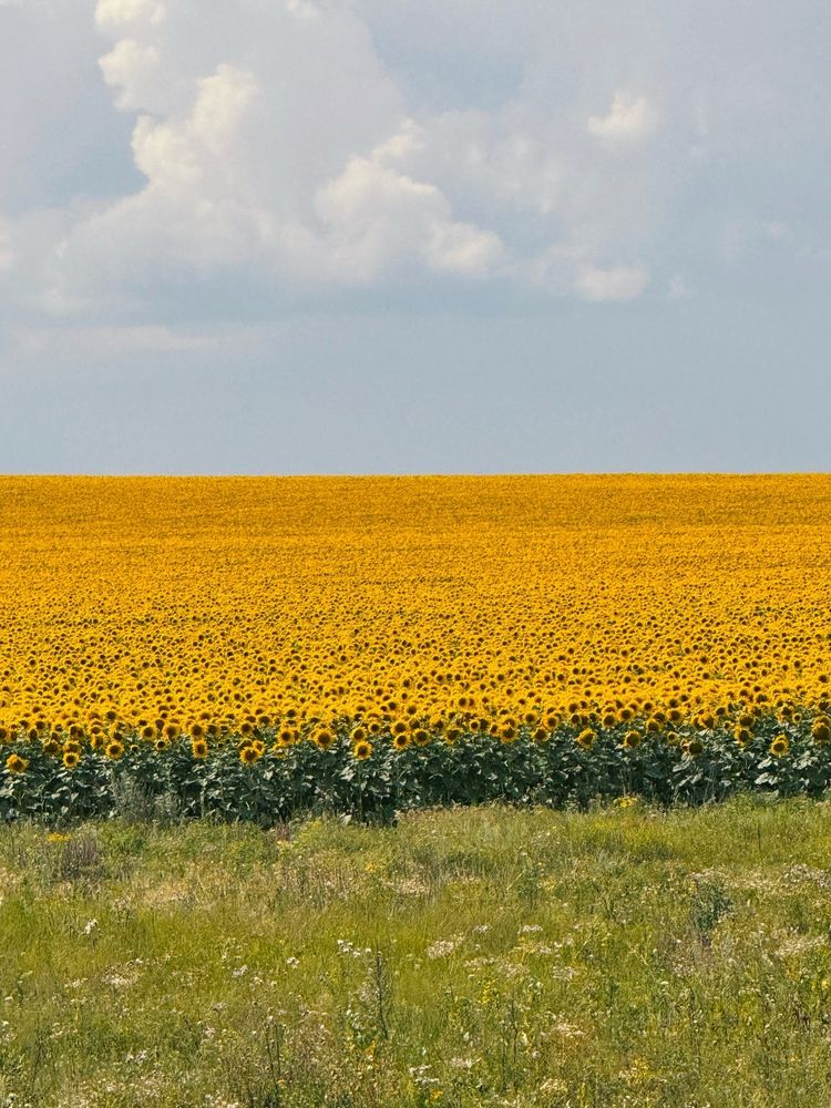 Photograph by Кристина Сидорова