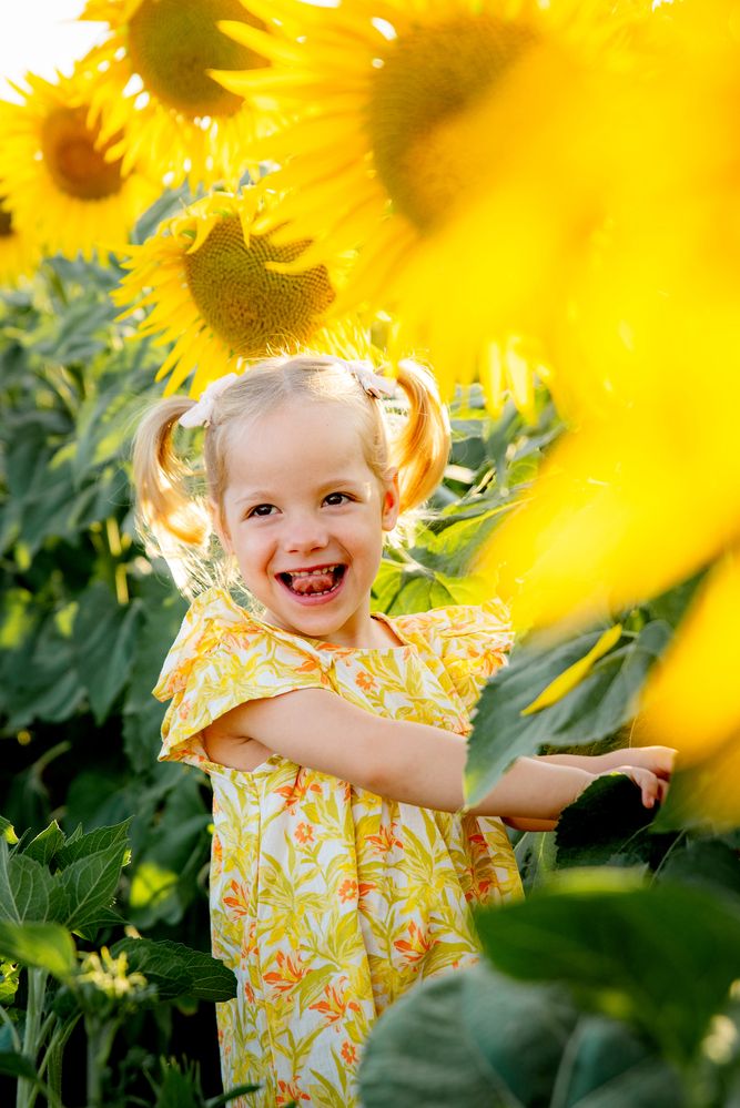 Фотография автора Krisztina Kaposvari