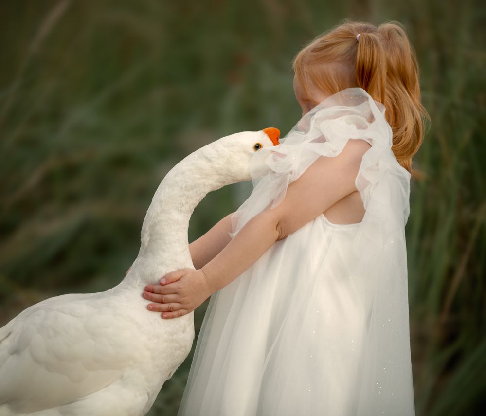 Photograph by Ольга Штукерт