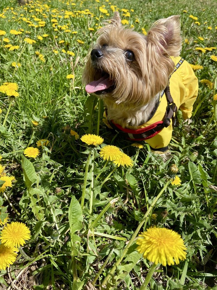 Photograph by Ирина Швейнова