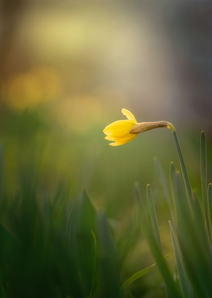 Photograph by Инна Сухова